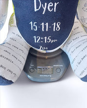 Load image into Gallery viewer, Memory Bear