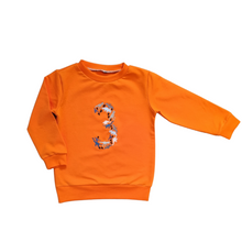 Load image into Gallery viewer, Birthday Jumper